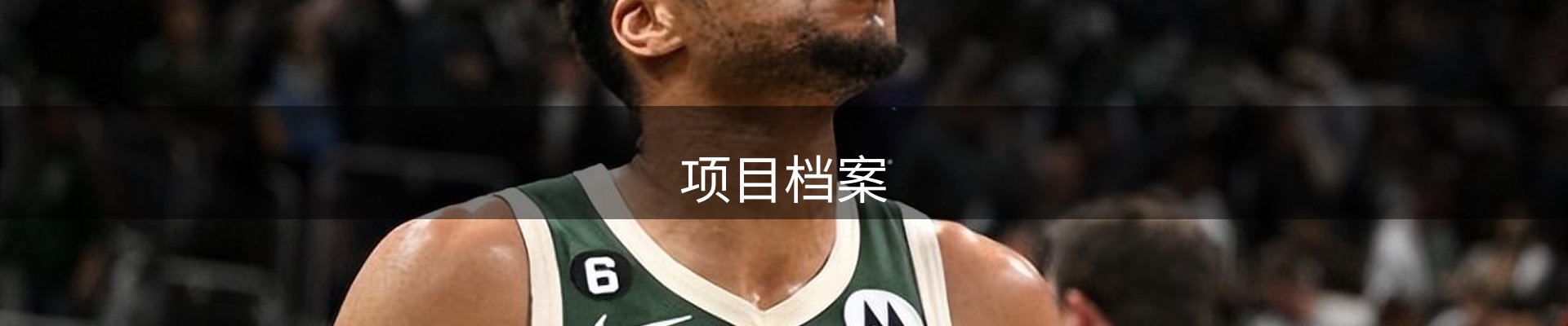项目档案